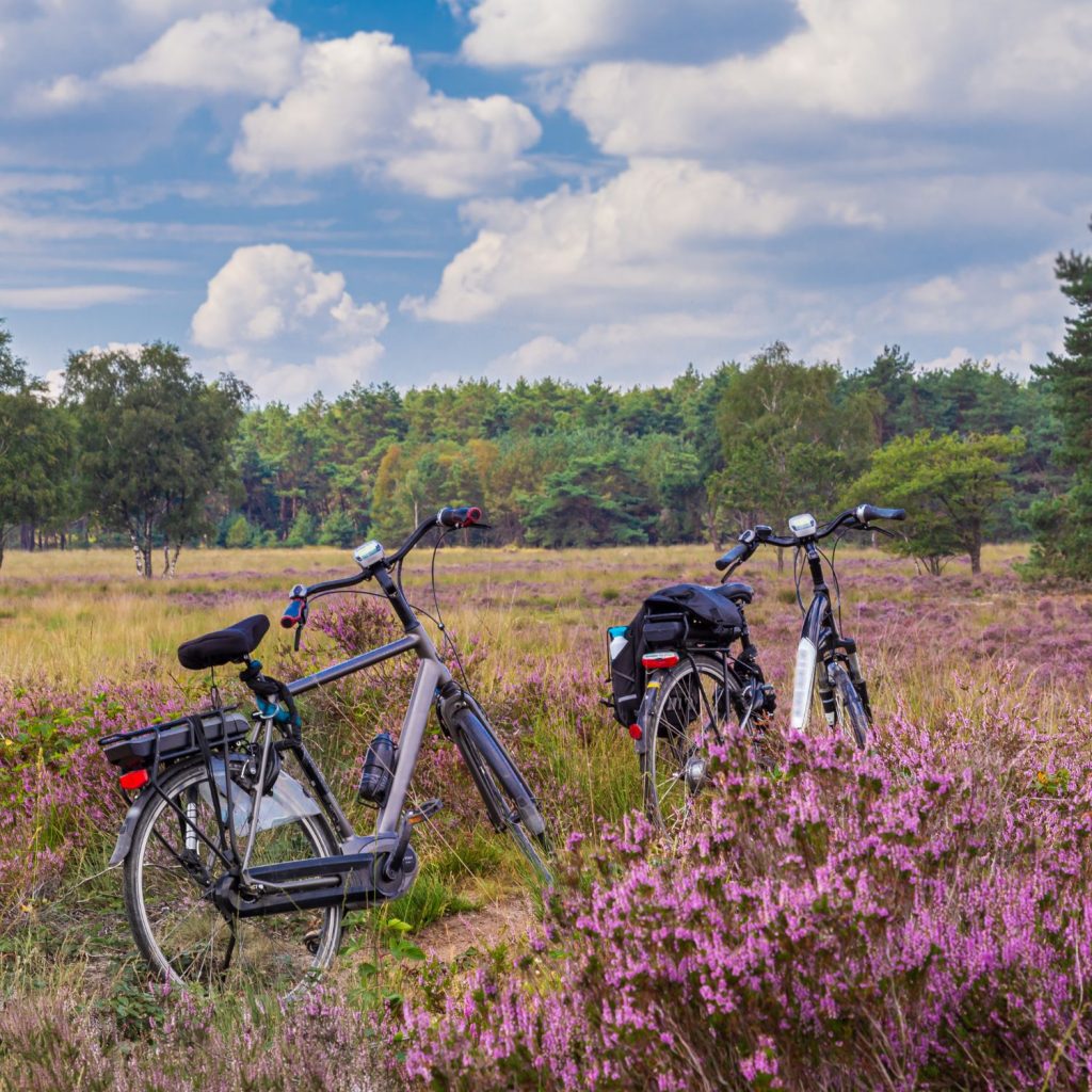 omgeving